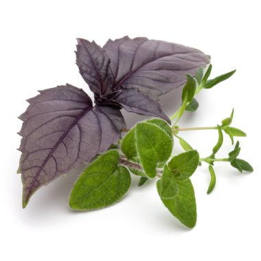 Çeşitli taze ot bırakır