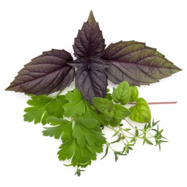 Çeşitli taze ot bırakır