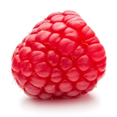 Olgun ahududu yakın çekim 