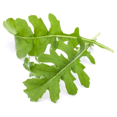 taze rucola yaprakları