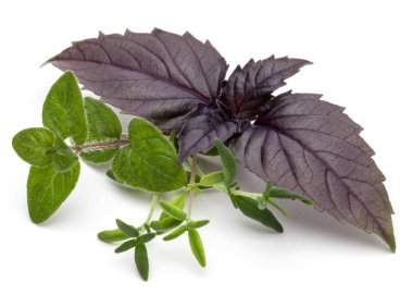 Çeşitli taze ot bırakır