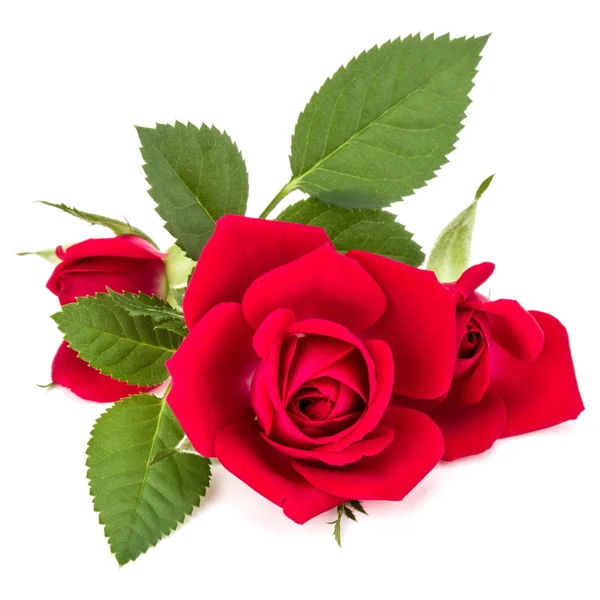 Czerwona róża kwiaty bukiet — Zdjęcie stockowe