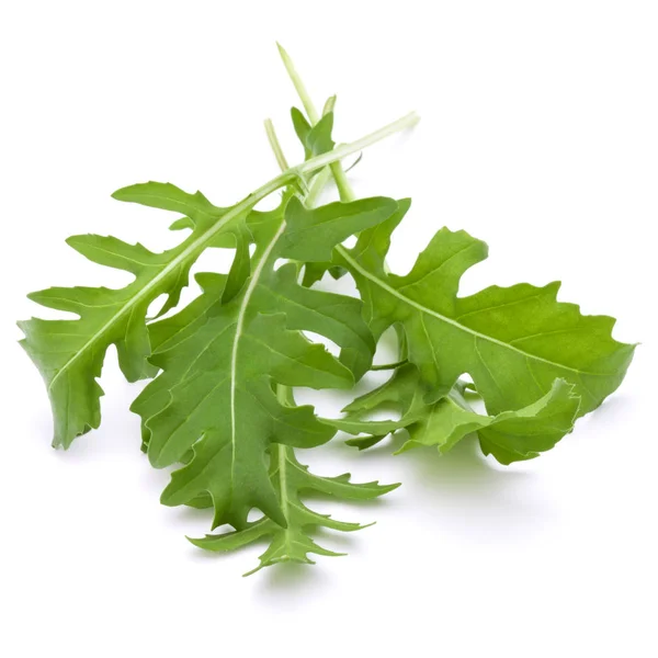 Foglie di rucola fresca — Foto Stock