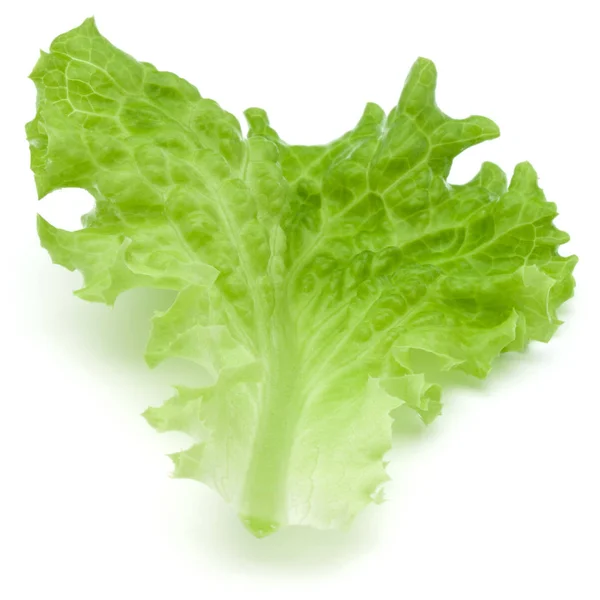 Folha de salada de alface verde fresca — Fotografia de Stock