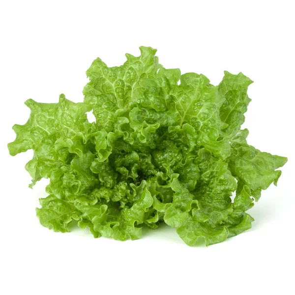 Folhas de salada de alface verde fresca — Fotografia de Stock