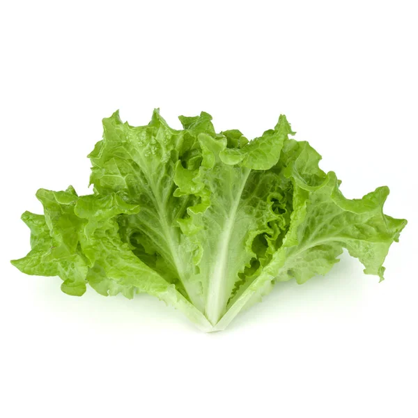 新鲜的绿色生菜沙拉叶 — 图库照片