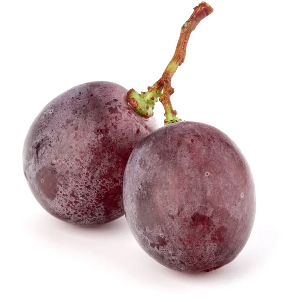 kırmızı üzüm meyveler