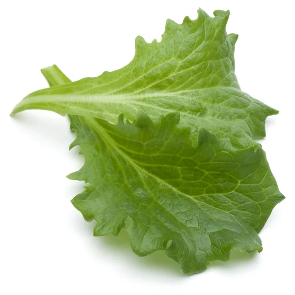 Φύλλα φρέσκο πράσινο αντίδι σαλάτα — Φωτογραφία Αρχείου