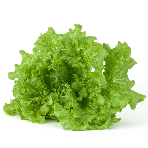 Frische grüne Salatblätter — Stockfoto