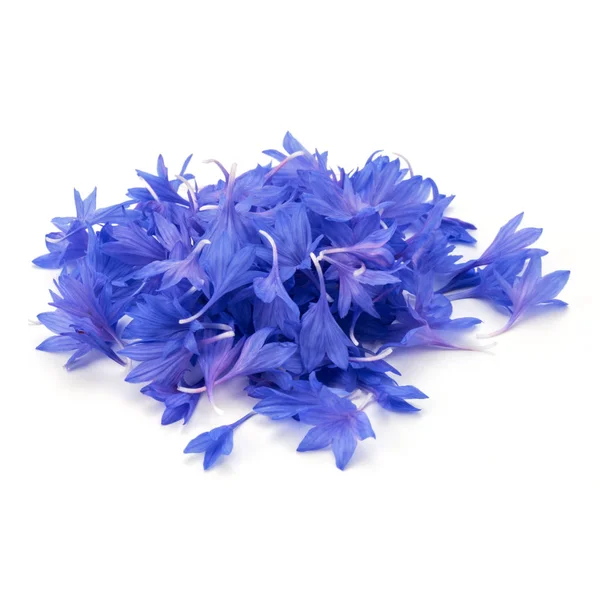 Blue Cornflower Petals — Stock Photo © natika 124938636
