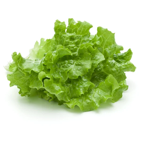 Friss zöldsaláta saláta levél — Stock Fotó