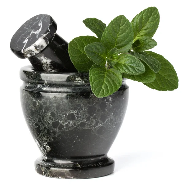 Marble stone mortar and pestle — Stock Photo, Image