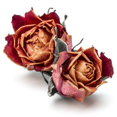 kurutulmuş gül çiçek başları