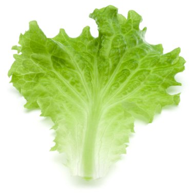 Marul salata yaprağı