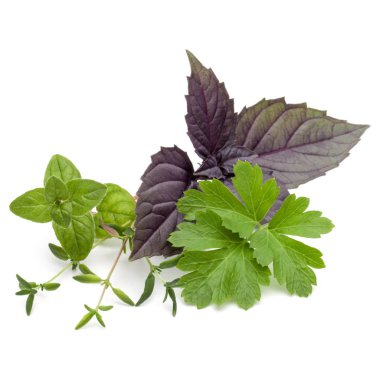 Taze bitki yaprakları