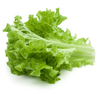 marul salata yaprakları 