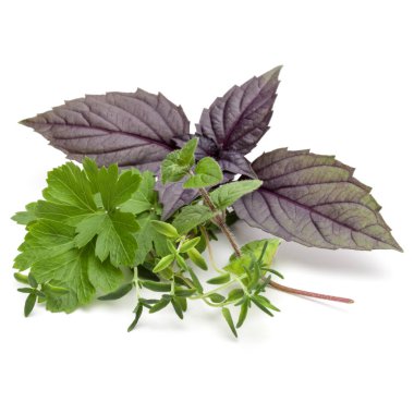 Taze bitki yaprakları