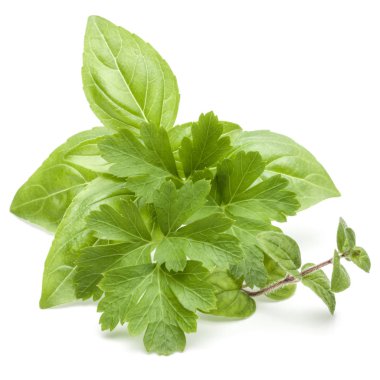 taze maydanoz yaprakları 