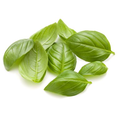 Fesleğen bitki yaprakları 