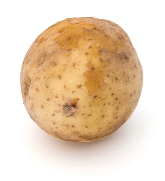 New potato tuber — Stock Photo, Image