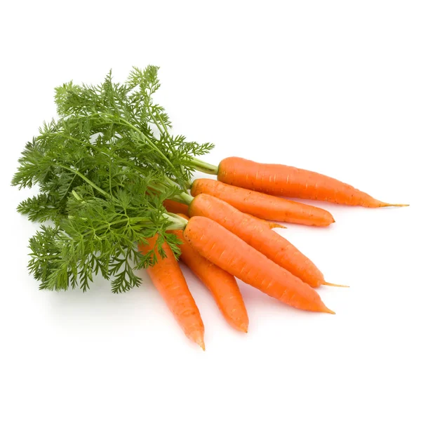 Καρότο λαχανικό με άδεια — Φωτογραφία Αρχείου