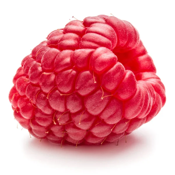 Framboise fraîche mûre — Photo