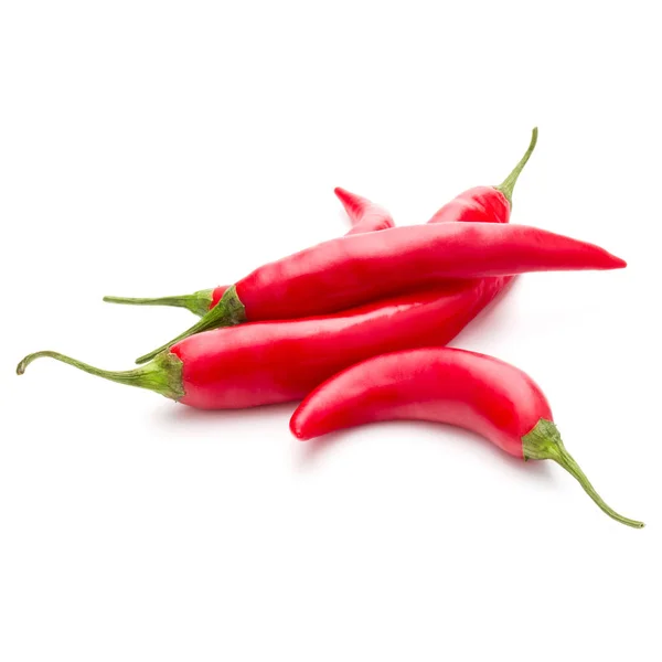 Röd chilipeppar — Stockfoto