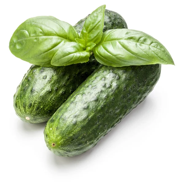 Komkommers en basilicum — Stockfoto