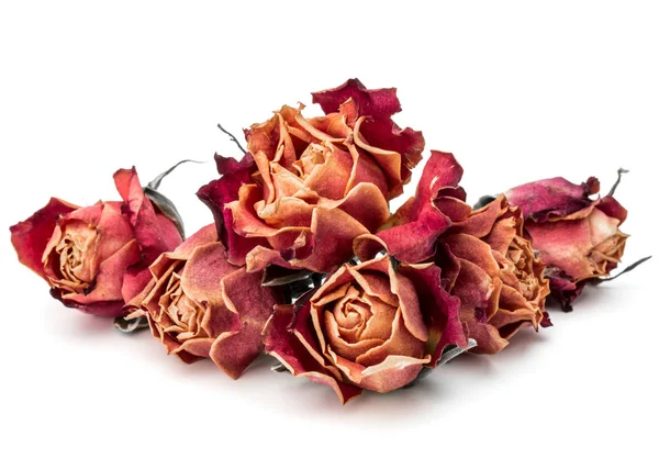 Cabeças de flores de rosa secas — Fotografia de Stock