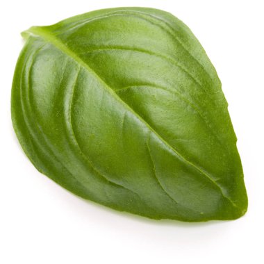 Fesleğen bitki yaprakları