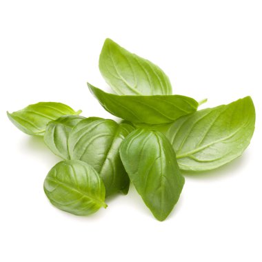 Fesleğen bitki yaprakları