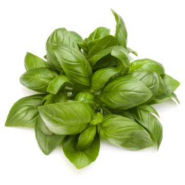 Fesleğen bitki yaprakları