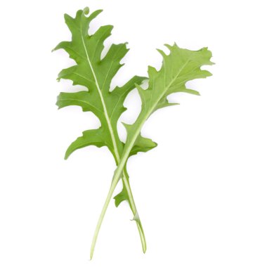 Yeşil taze rucola