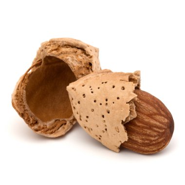 Kabuk ve kabuklu badem fındık 