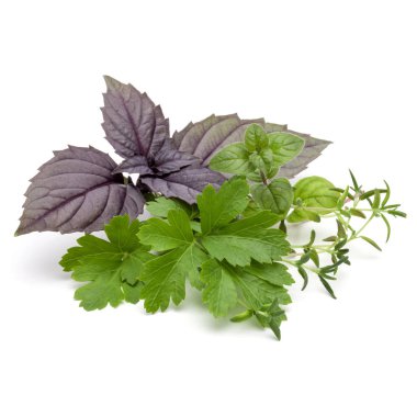 taze maydanoz bitki yaprakları