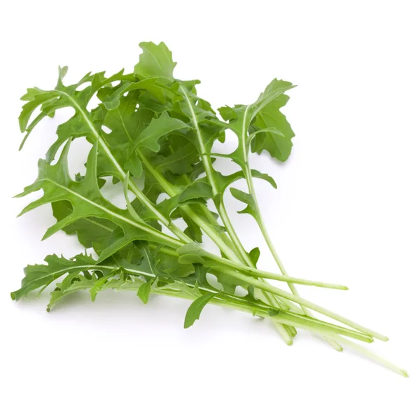 Rucola fresca verde — Foto Stock