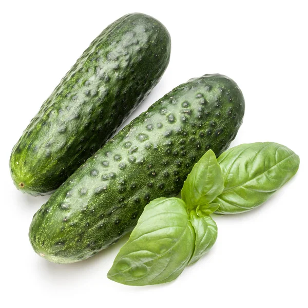 Komkommers groene groenten — Stockfoto