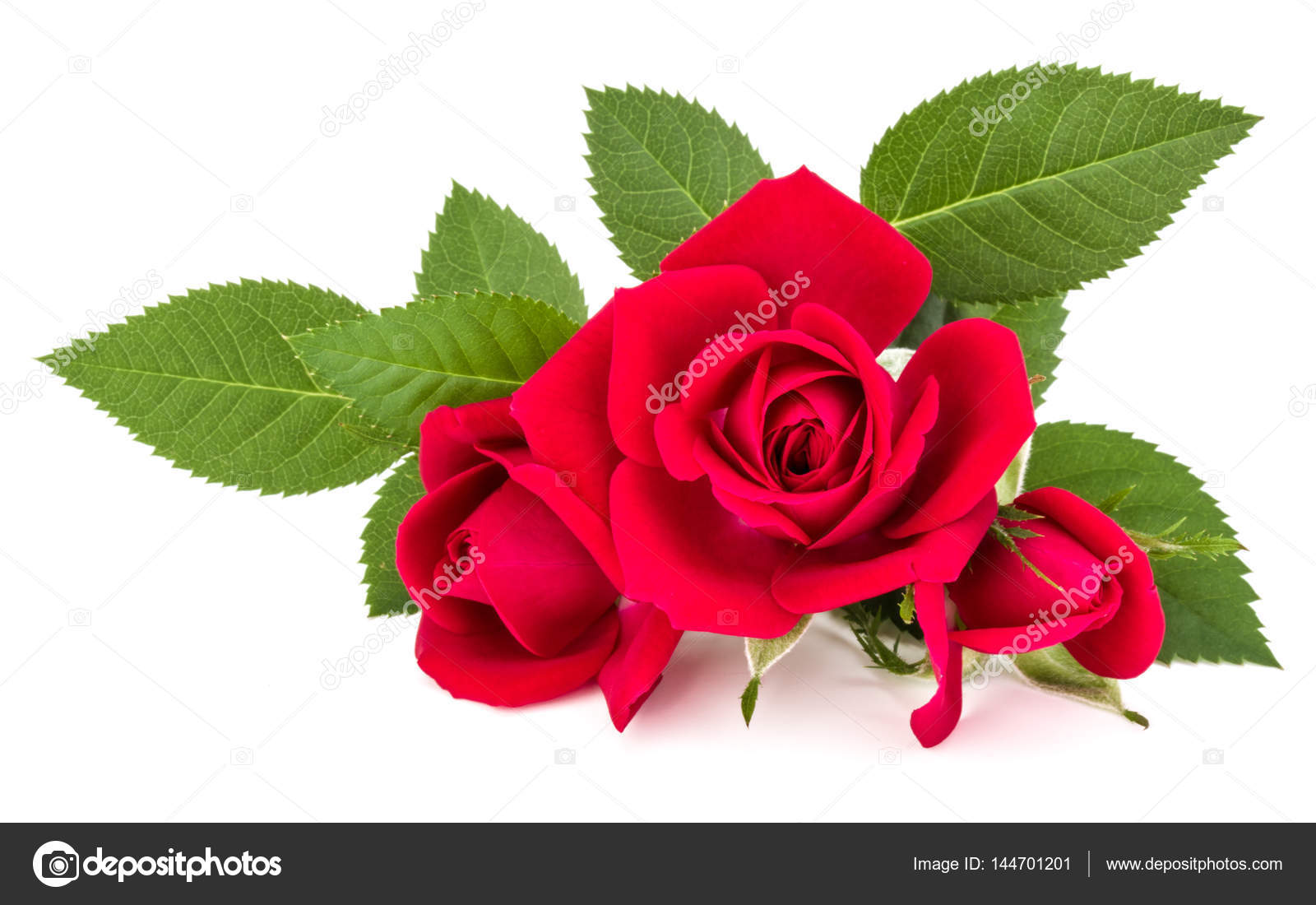 Red rose flower bouquet Stock Photo by ©natika 144701201