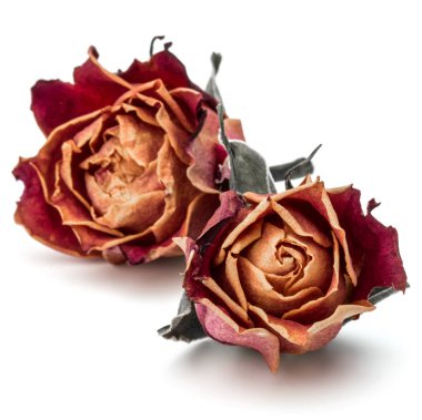 Kurutulmuş gül çiçek başkanları