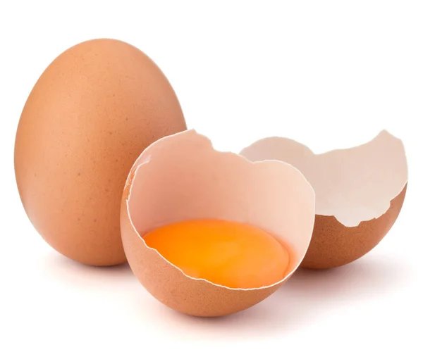 Broken egg in eggshell half — Stock Photo, Image