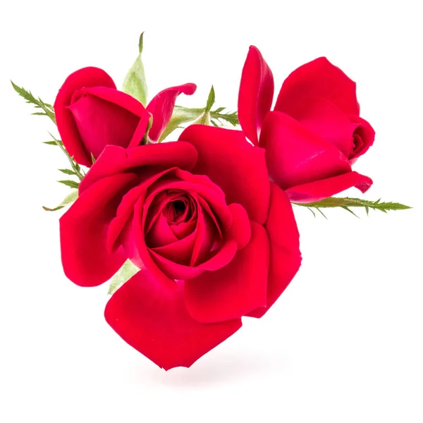 Vermelho rosa buquê de flores — Fotografia de Stock