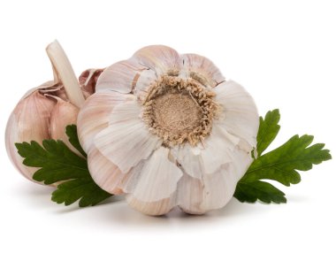 Sarımsak ampul ve maydanoz herb