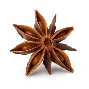 yıldız anason baharat