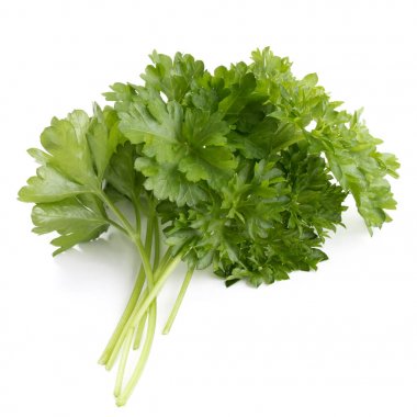 taze maydanoz bitki yaprakları