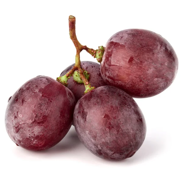 Czerwone jagody winogron kiść — Zdjęcie stockowe