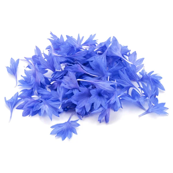 Μπλε καλαμποκάλευρο βότανο — Φωτογραφία Αρχείου