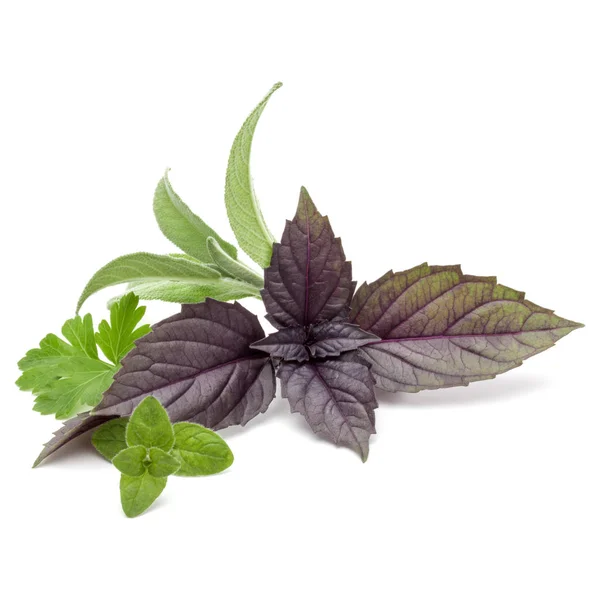 Fresh herb leaves variety — Stock Photo, Image