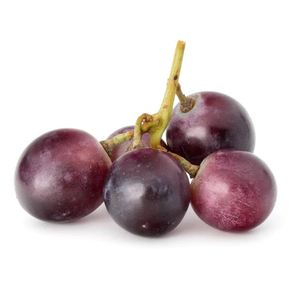 Grappolo di uva rossa — Foto Stock