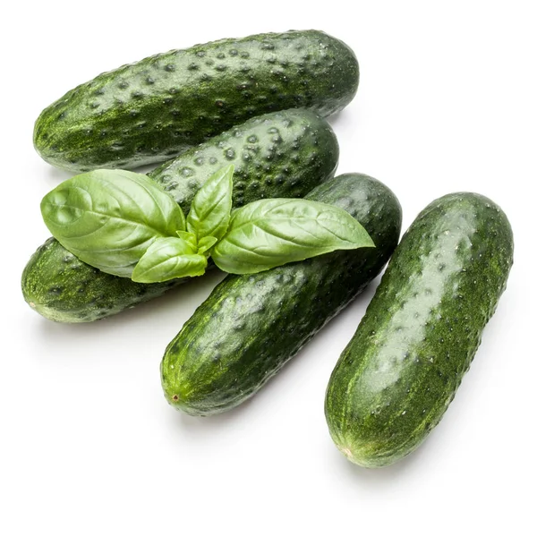 Cucumber vegetables and basil leaves — Stock Photo, Image