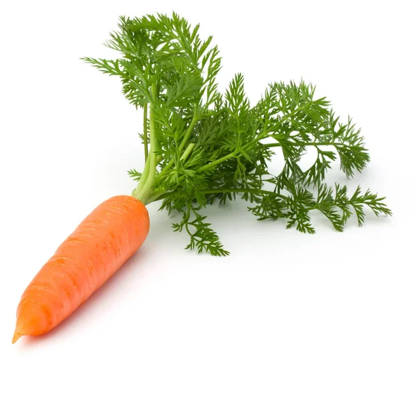 Porkkana vihannes lehtien kanssa — kuvapankkivalokuva